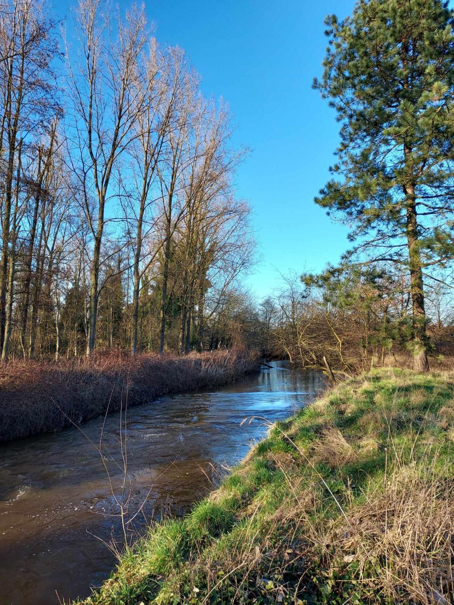 Rustig Gelegen Chalet Solvo Met Terras Aan Het Water ゲール エクステリア 写真